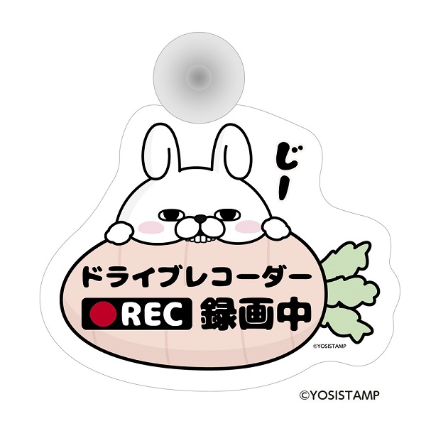 カーサイン・録画中　うさぎ100％