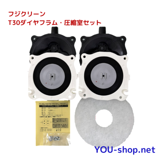 T30ダイヤフラム・圧縮室セット