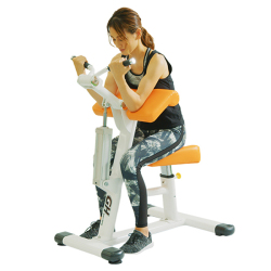 バイセプス／トライセプス（GH-105）【送料は別途お見積もり】