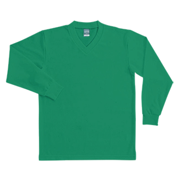 salsation VネックTシャツ　淡グリーン VネックTシャツ - セージグリーン - レディース | H&M JP