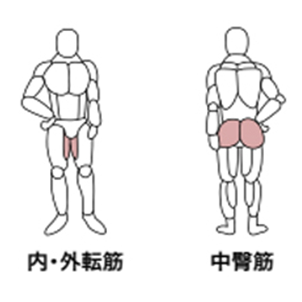 アブダクション／アダクション（GH-102）【送料は別途お見積もり】
