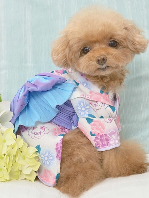 クレイジーブー あじさい柄浴衣 Crazy Boo 犬服 犬グッズ ドッグウェア かわいい おしゃれ S S