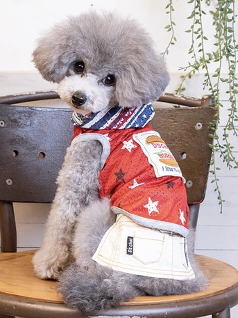 ディーズチャット D S Chat アメリカン柄パーカ Big 犬服 犬グッズ かっこいい おしゃれ カジュアル 中型犬 大型犬 S S ディーズチャット D S Chat アメリカン柄パーカ Big 犬服 犬グッズ かっこいい おしゃれ カジュアル 中型犬 大型犬 S S