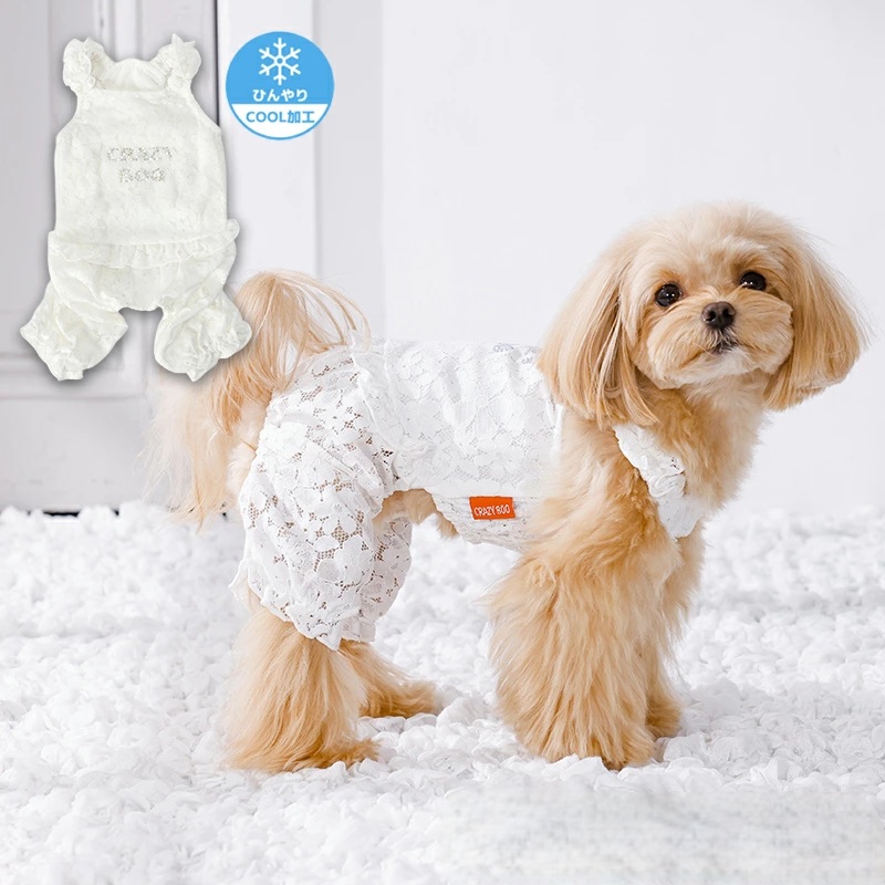 犬グッズ通販 Momo to Nana