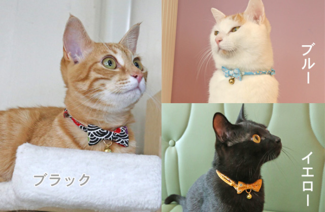 ａｍｏ ｋ 結 ゆい カラー 猫グッズ 首輪 かわいい おしゃれ 鈴 和柄