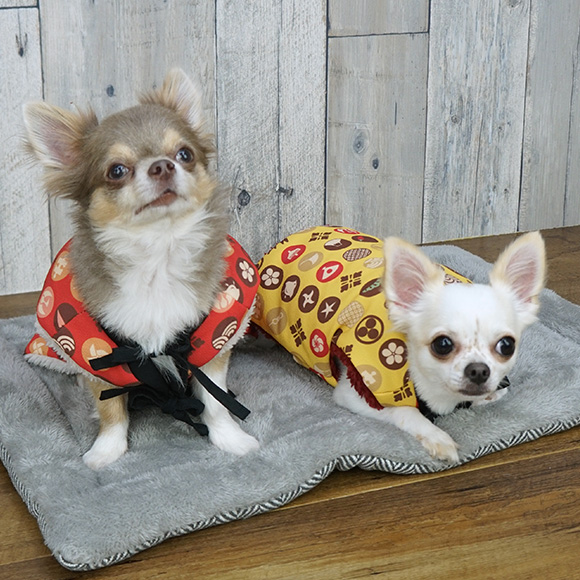 I DOG & I CAT 愛犬用 ちゃんちゃんこ 縁起 水玉 アイドッグ 【 アイ