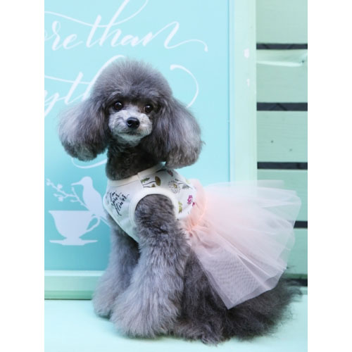 GODPIVA ゴッドピヴァ COOLフラワーチュチュワンピース ゴッドピバ GodPiva クール フラワー カリグラフィ タンク 【犬