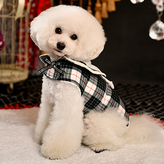 ルルドール チェッカーズ 【 Lulu doll ドッグウェア かわいい