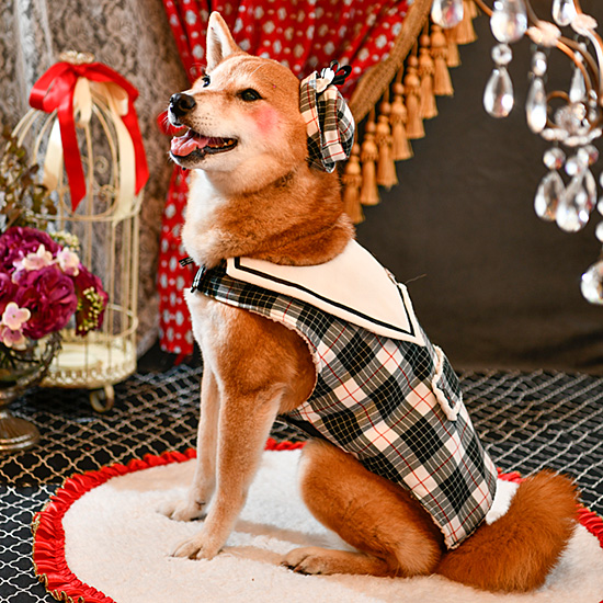 ルルドール チェッカーズ 【 Lulu doll ドッグウェア かわいい