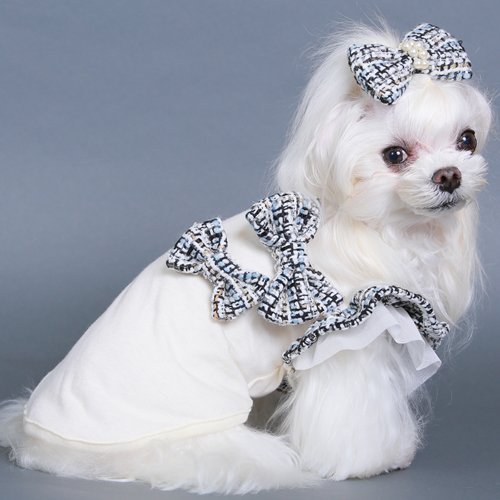 ゴッドピバ GodPiva ツイードフリルタンク 【 犬服 犬グッズ 可愛い