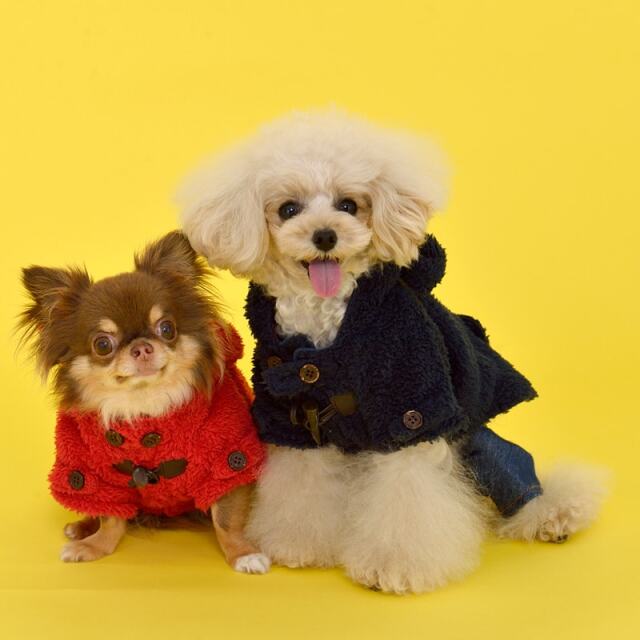 ティノティート Tinotito くま耳ボアダッフルコート 犬服 犬グッズ スタイリッシュ かわいい おしゃれ コート