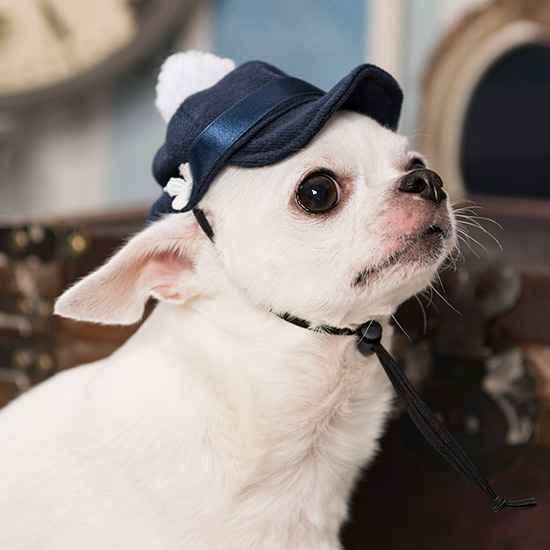 ルルドール ポンポンキャスケット Lulu Doll ドッグウェア 犬服 かわいい おしゃれ 帽子 A W