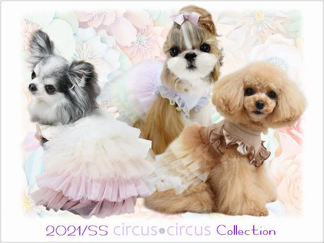 サーカスサーカス Furi Furi Hello Op Circus Circus フリフリハローワンピース 犬服 犬グッズ かわいい おしゃれ S S