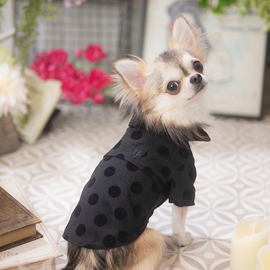 ルルドール フロッキードットシャツ 【 Luludoll ドッグウェア 犬服