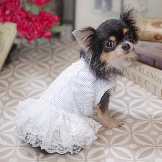 LuLuDoll ルルドール　タグ付き　犬服　ドックウェア　新品 LuLuDoll ルルドール タグ付き 犬服 ドックウェア 新品 - メルカリ