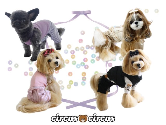 サーカスサーカス SWING PLEATS PT【 circus circus 犬服 犬グッズ
