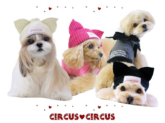 サーカスサーカス 犬用抱っこ服 ホワイト 先行予約】サーカスサーカス LOVABLE BABY PK【 circus circus LOVABLE