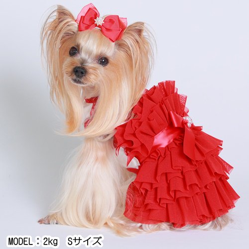ゴッドピバ GodPiva チュールグラマラスドレス 【 犬服 犬グッズ