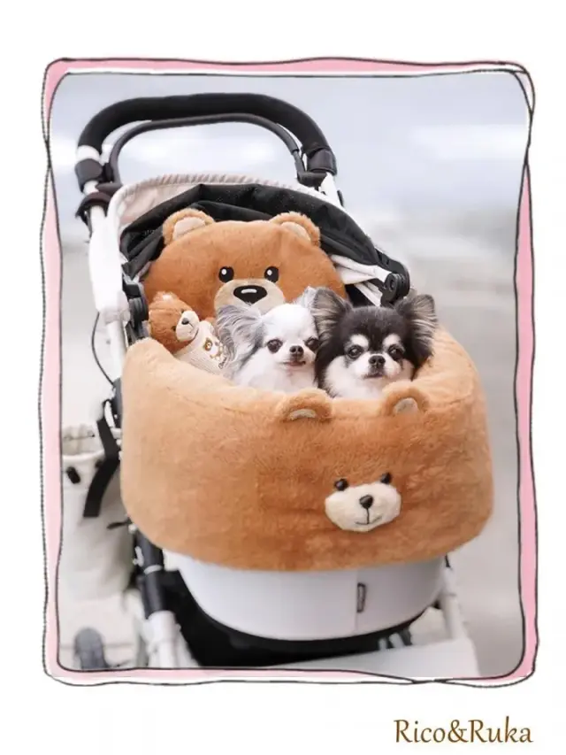 サーカスサーカス Toy Bear Dress up SET ver.2【 circus circus Toy