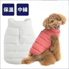 犬と生活