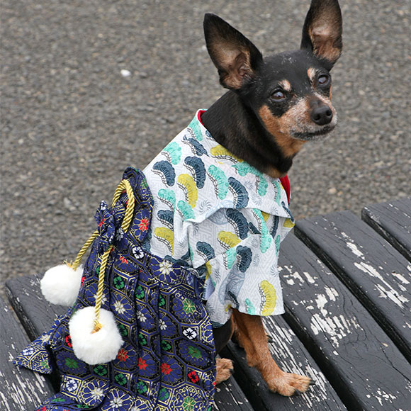 I Dog I Cat 愛犬用 紗綾松 アイドッグ アイキャット犬 ウェア おしゃれ 和服 袴