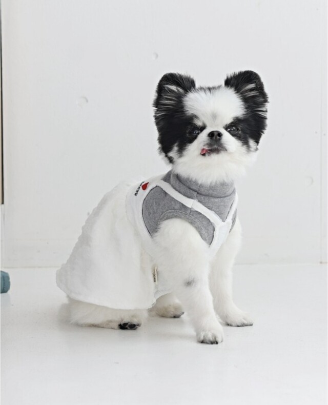 crazy boo