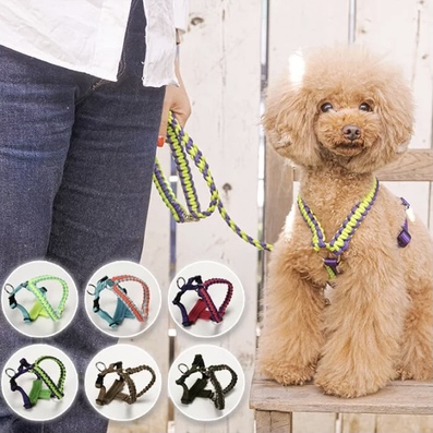 Solgra バイカラーコードハーネス 【 犬服 ドッグウェア 犬