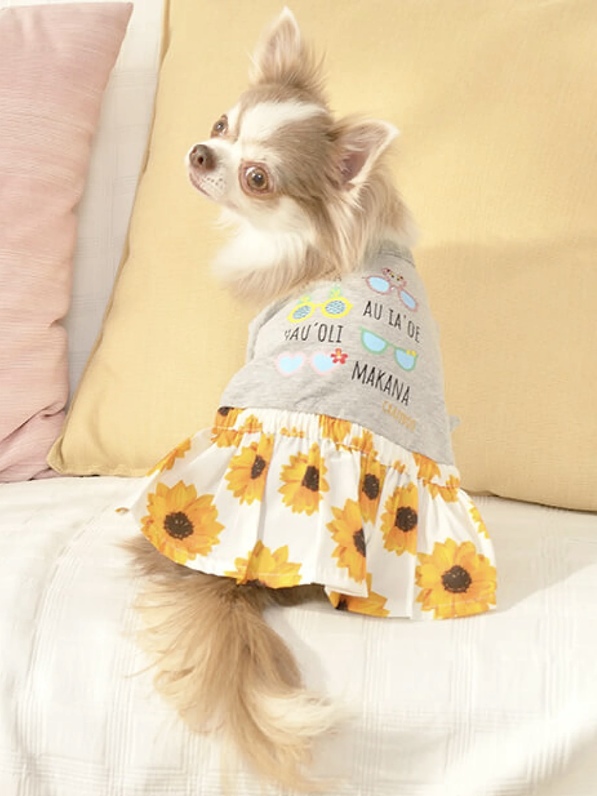 クレイジーブー アロハひまわりワンピ 【 Crazy Boo 犬服 犬