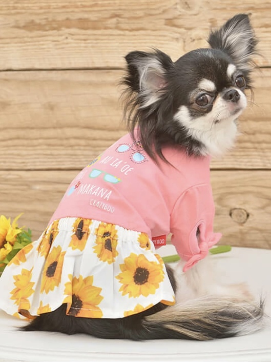 クレイジーブー アロハひまわりワンピ 【 Crazy Boo 犬服 犬
