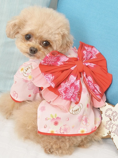 Crazy Boo 花柄お着物 被布コート付き 楽天市場 | CRAZYBOO - お花見特集