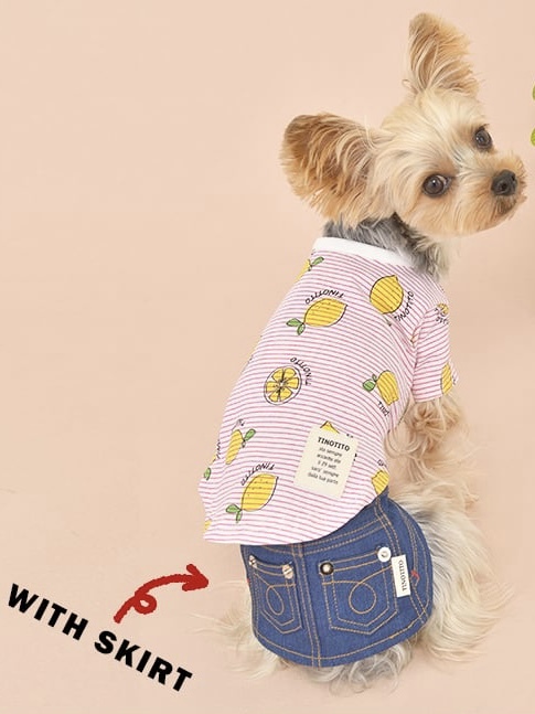ティノティート TINOTITO レモン柄Tシャツ 【 犬服 犬グッズ