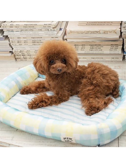犬グッズ専門店 Momo Tonana リードやハーネス ベッド等のペットグッズ通販