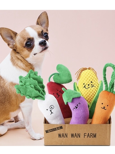 ⭐️イヌノハナ　ふわふわトレーナー かわいい　犬　イヌ　用　グリーン　S ⭐️イヌノハナ ふわふわトレーナー かわいい 犬 イヌ 用