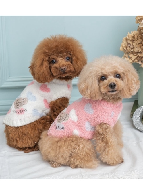 既製品からの型紙作成【続篇】 犬服教室で先生に説明を受け