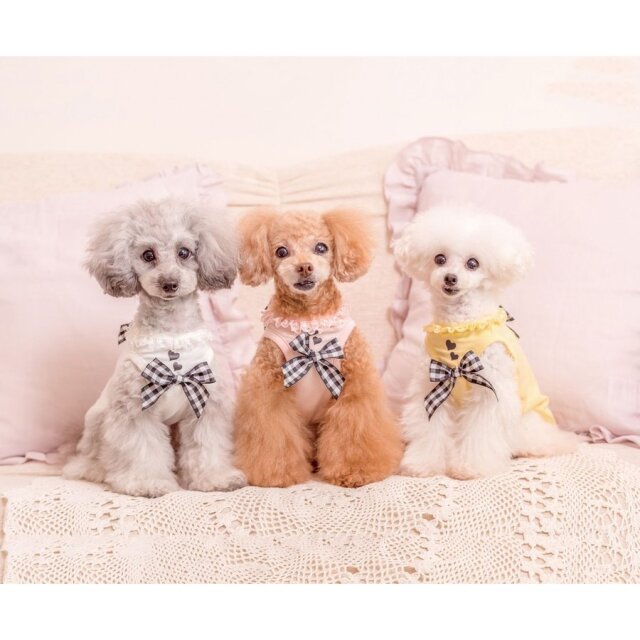 犬服 3S わんこの普段着　フルーツカシェモア　きなり 犬服 3S わんこの普段着フルーツカシェモアきなり