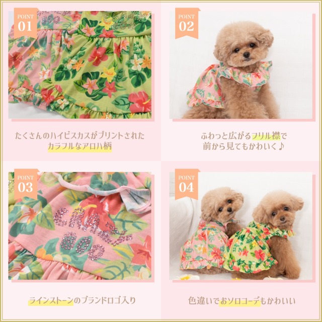 犬服 クレイジーブー crazy booドレス ウエディング CRAZYBOO(クレイジーブー)公式 (@crazybooofficial) • Instagram