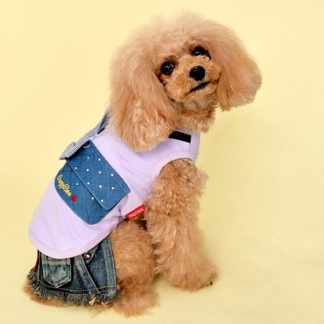 クレイジーブー キラキラバッグタンク Crazy Boo 犬服 犬グッズ かわいい おしゃれ S S