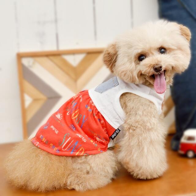 ディーズチャット D S Chat Sundayプリントワンピ 犬服 犬グッズ かっこいい おしゃれ カジュアル クール S S