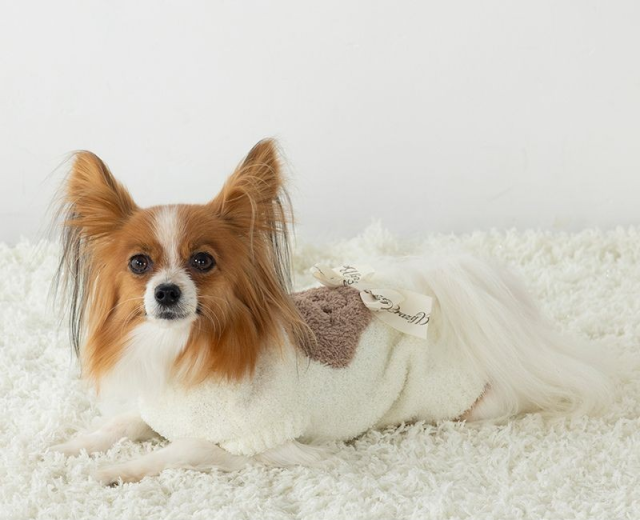 Crazy Boo くまさんマシュマロニット 【 クレイジーブー 犬 服 犬