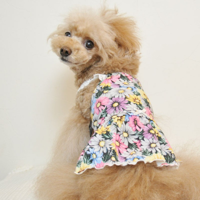 セール！Atelier Rosea アトリエロゼアのエプロン　犬服 Atelier Rosea アトリエロゼア のエプロン 犬服（cherircouture