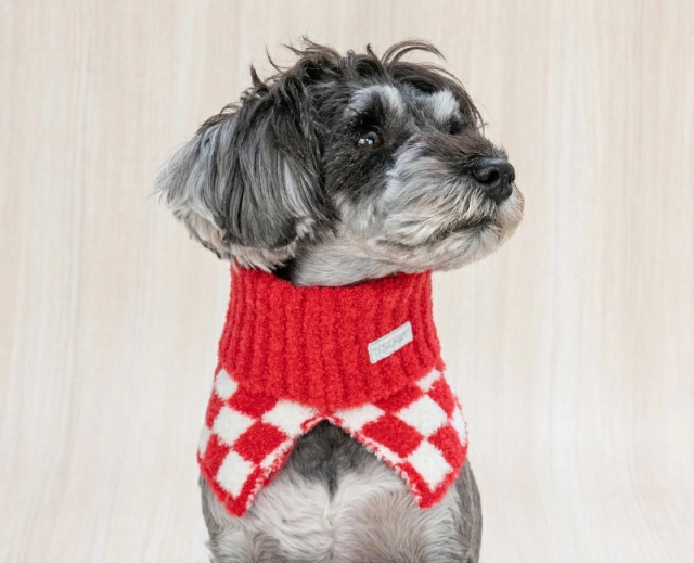 ☆ ちゃちゃ様　犬ハンドメイドニット ☆ 9898110fcca3eae746c09fb624f8a6