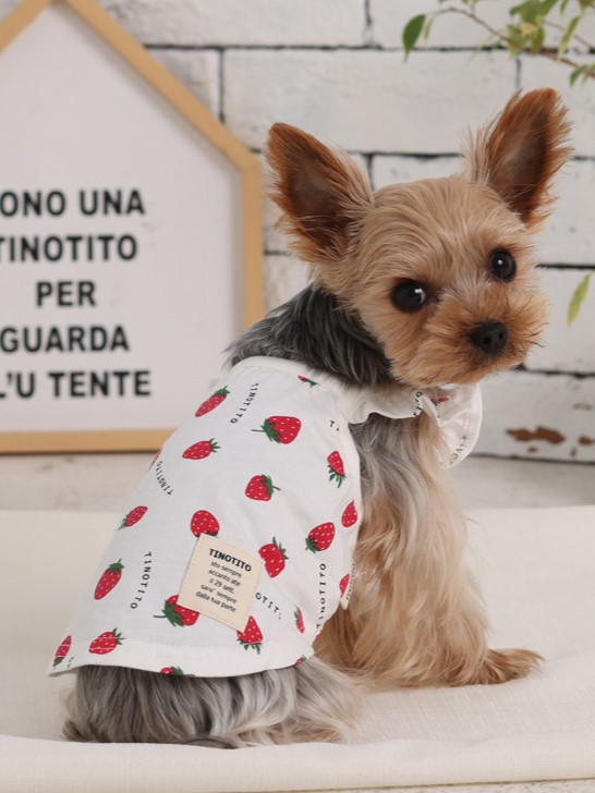 ドッグウェア ペット用品 犬服 SS わんこの普段着 ごろっといちご 犬服