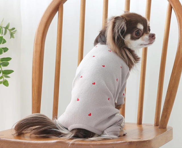 くま ハンドメイド 犬服 Rockkiss ラグランロンＴ ミニ裏毛 くま ハンドメイド 犬服 Rockkiss ラグランロンT ミニ裏毛 ☆関税込