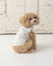 momo　オーダー犬服4点 犬グッズ通販 Momo to Nana