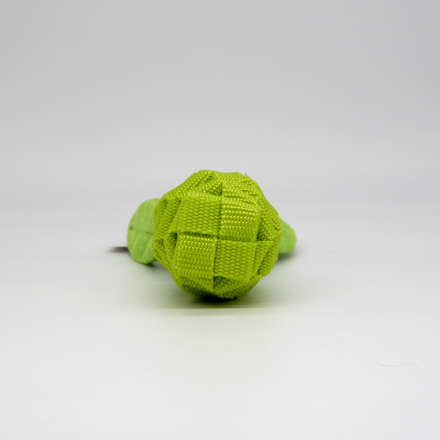Aitep　STUDY TOY　レタス