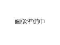 パワーケーブル　４ｍ　Ｈ１１６４Ｄ００　ＡＷＤ－２６用【ダイヘン】【送料無料】