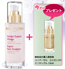 スカルプ エキスパート ヴィザージュ