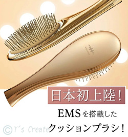 ＥＭＳ　Brush Air（EMSブラシエア）