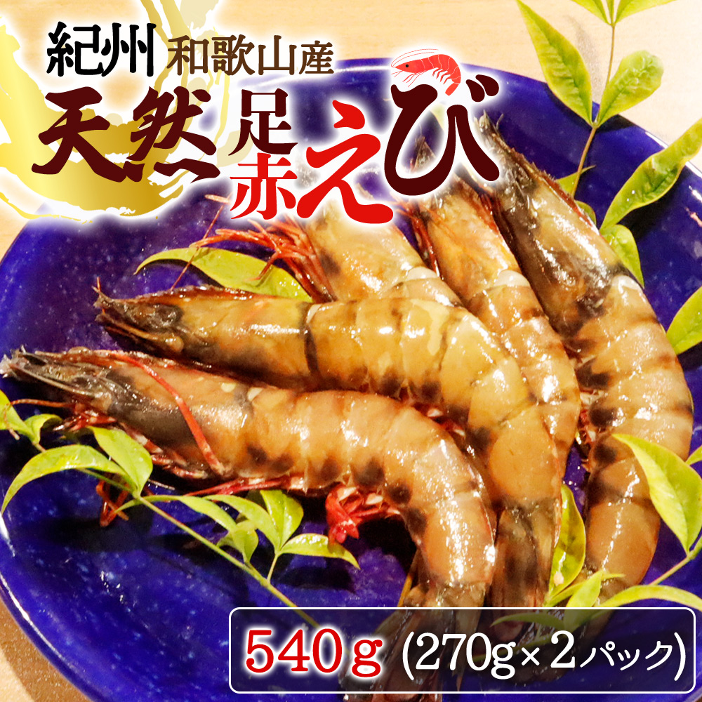 紀州和歌山産天然足赤えび540g(270g×2パック)　化粧箱入【全国送料無料】※2025年12月上旬以降順次発送予定