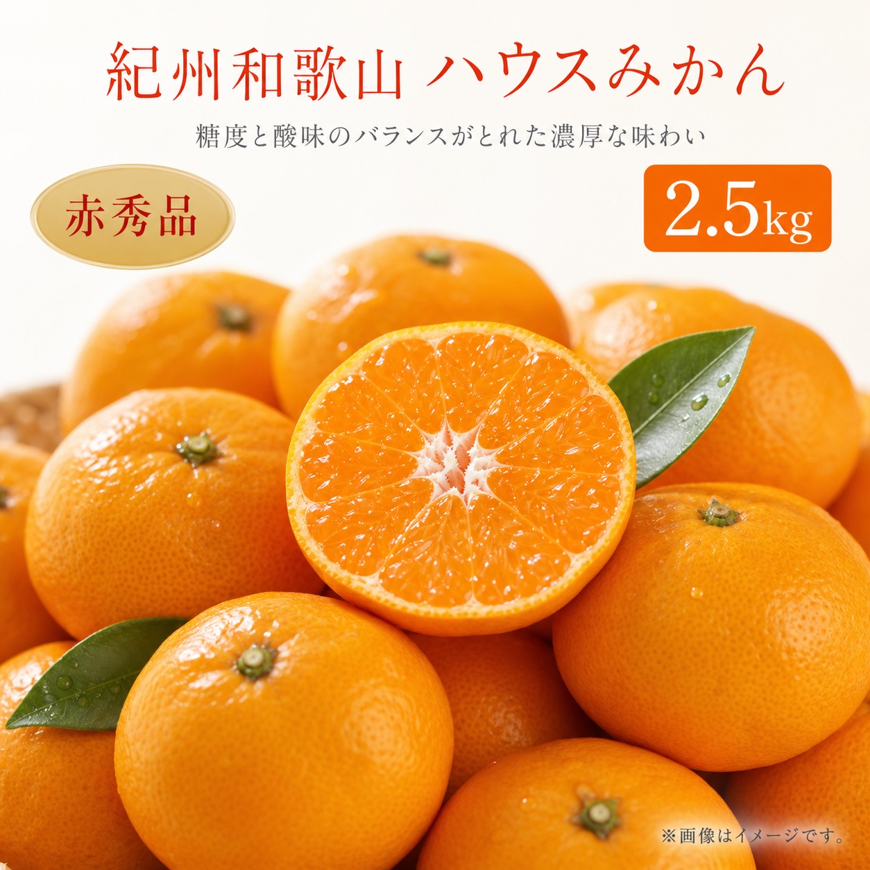 赤秀品　紀州和歌山ハウスみかん2.5kg　化粧箱入※7月上旬以降順次発送予定
